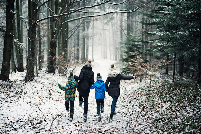 家人在树林里散步的人生目标