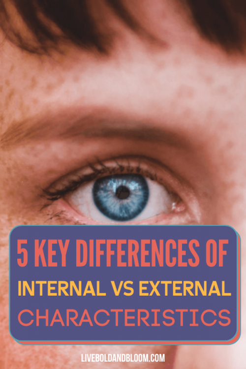 What are the different character traits that are internal or external? Find out more about internal and external character traits in this post.