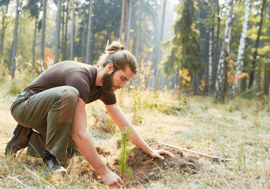 man planting tree do the right thing when no one is looking