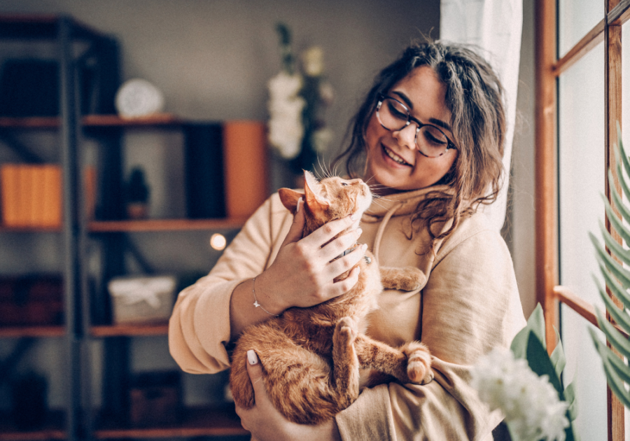 一个猫妈妈很爱她的猫sigma女性人格