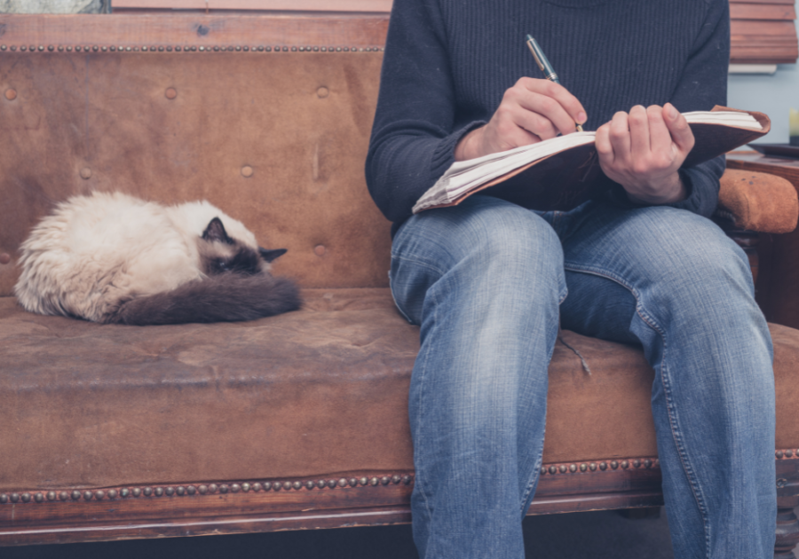 猫在旁边写了一个暗恋的人的情书